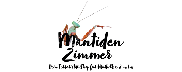 Herzlich Willkommen im Mantiden Zimmer